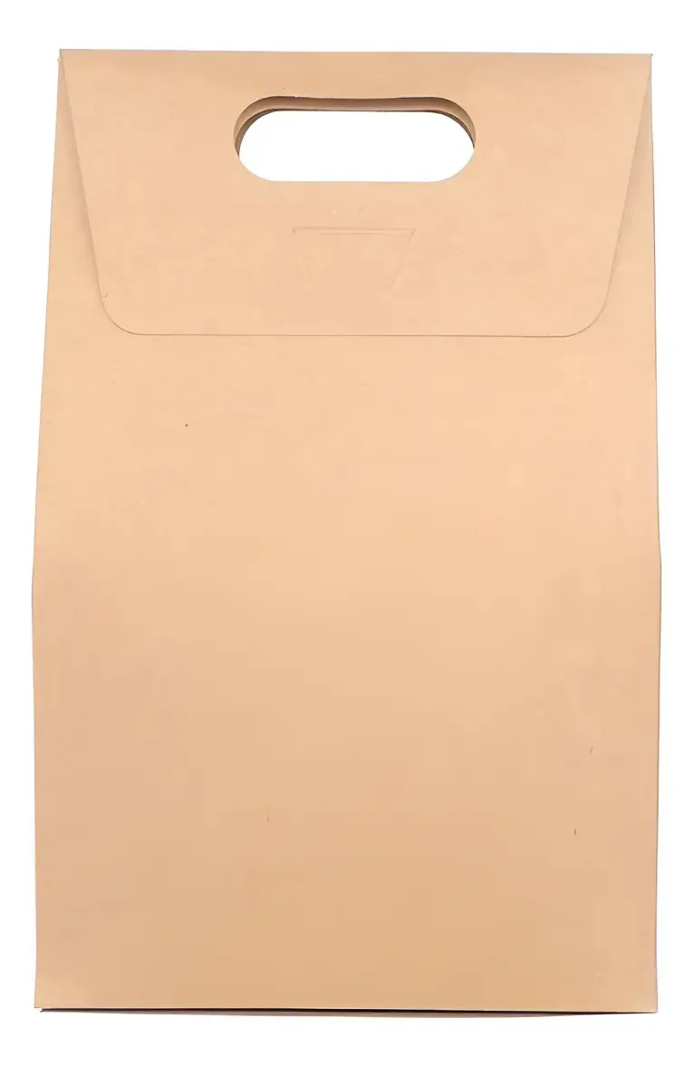 Bolsa de 10 caixas para Kraft extra grande de 20x32x10 cores