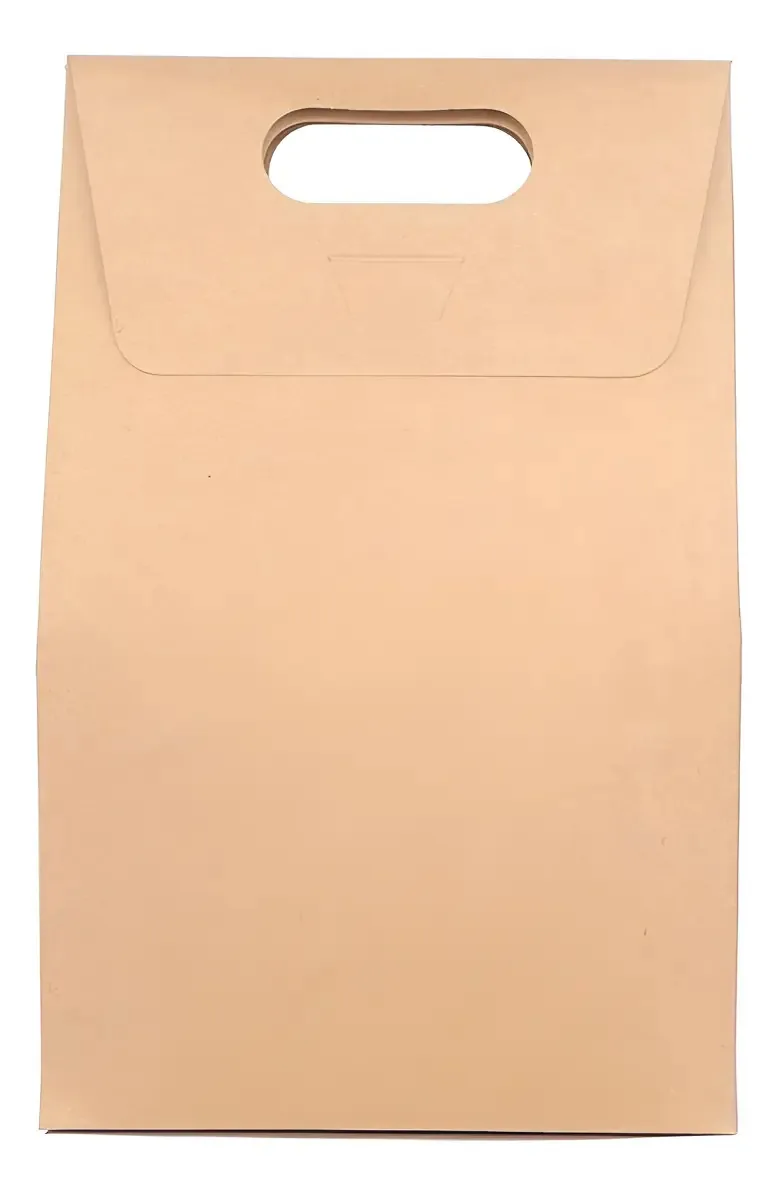 Bolsa de 50 caixas para Kraft extra grande de 20x32x10 cores