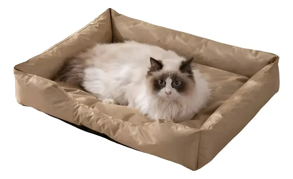Camas pequenas para cães e gatos, laváveis, impermeáveis, macias, dourado escuro, cor Mian Design na China