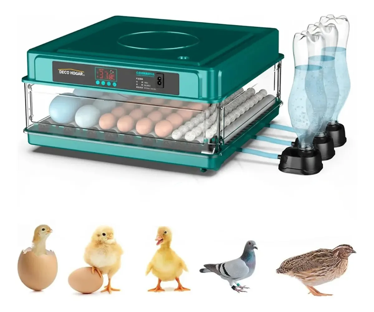 48 Incubadora automática de ovos 80w 12v 12177