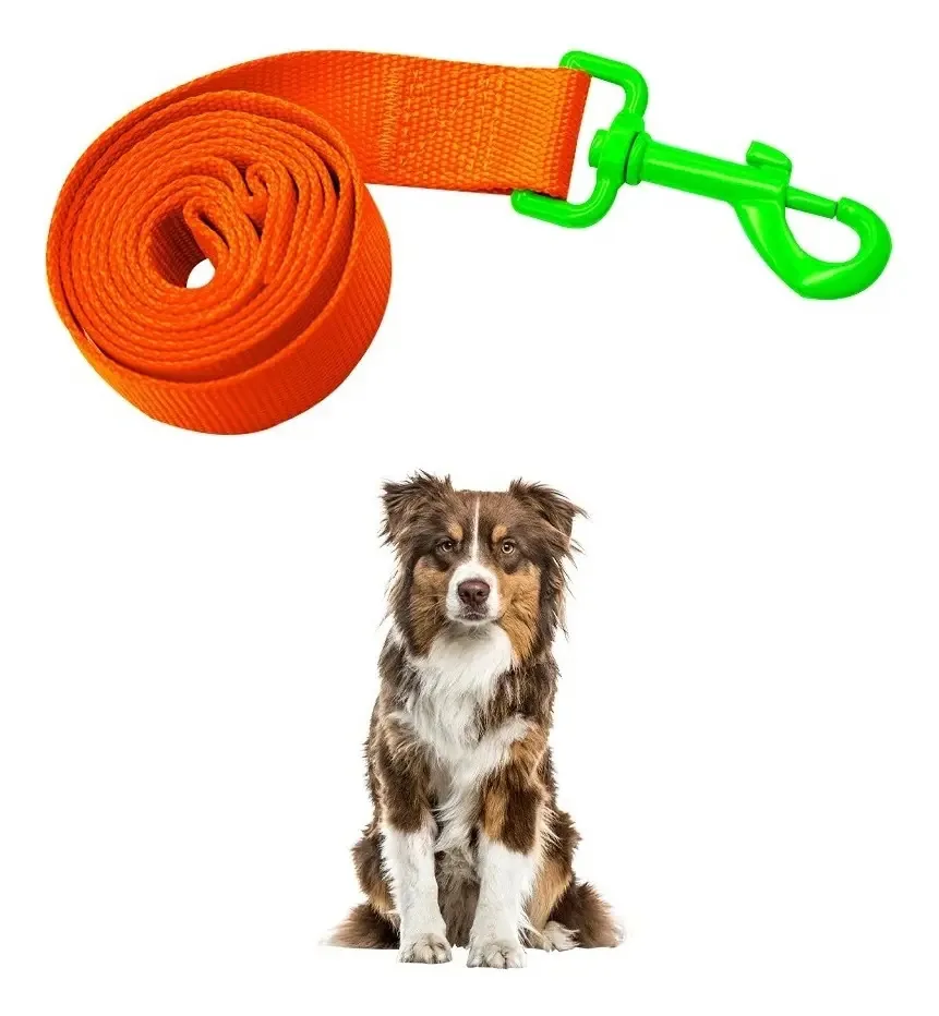 Coleira durável para cães de raça média com laranja neon
