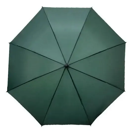 Guarda-chuva verde econômico semiautomático Baston Colours