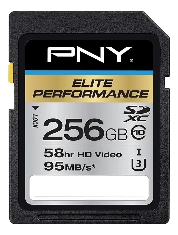 Pny Technologies Elite Performance Cartão Memória 256gb Avta