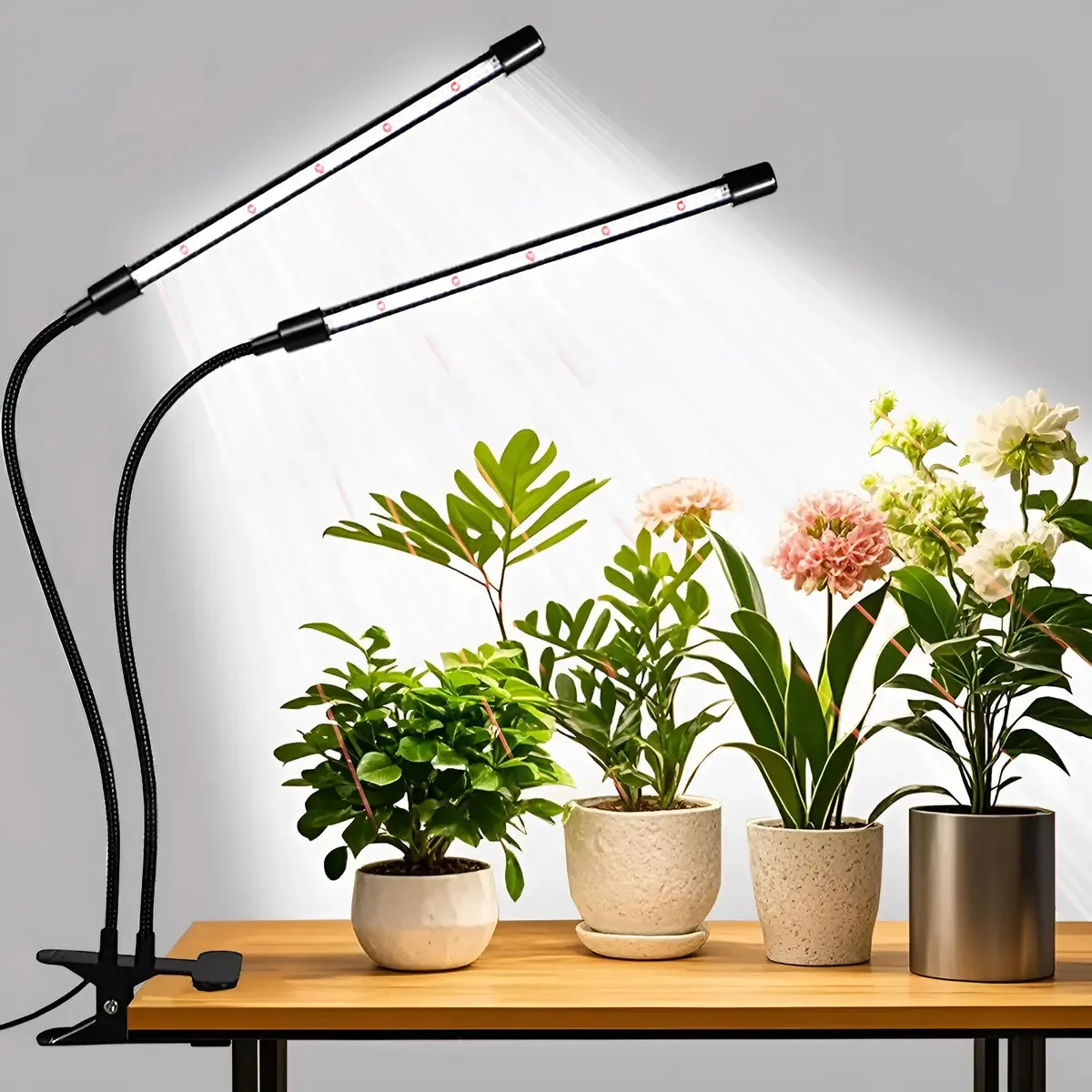 Cultive luzes para plantas de interior, atualize 84 Leds Clip Plant