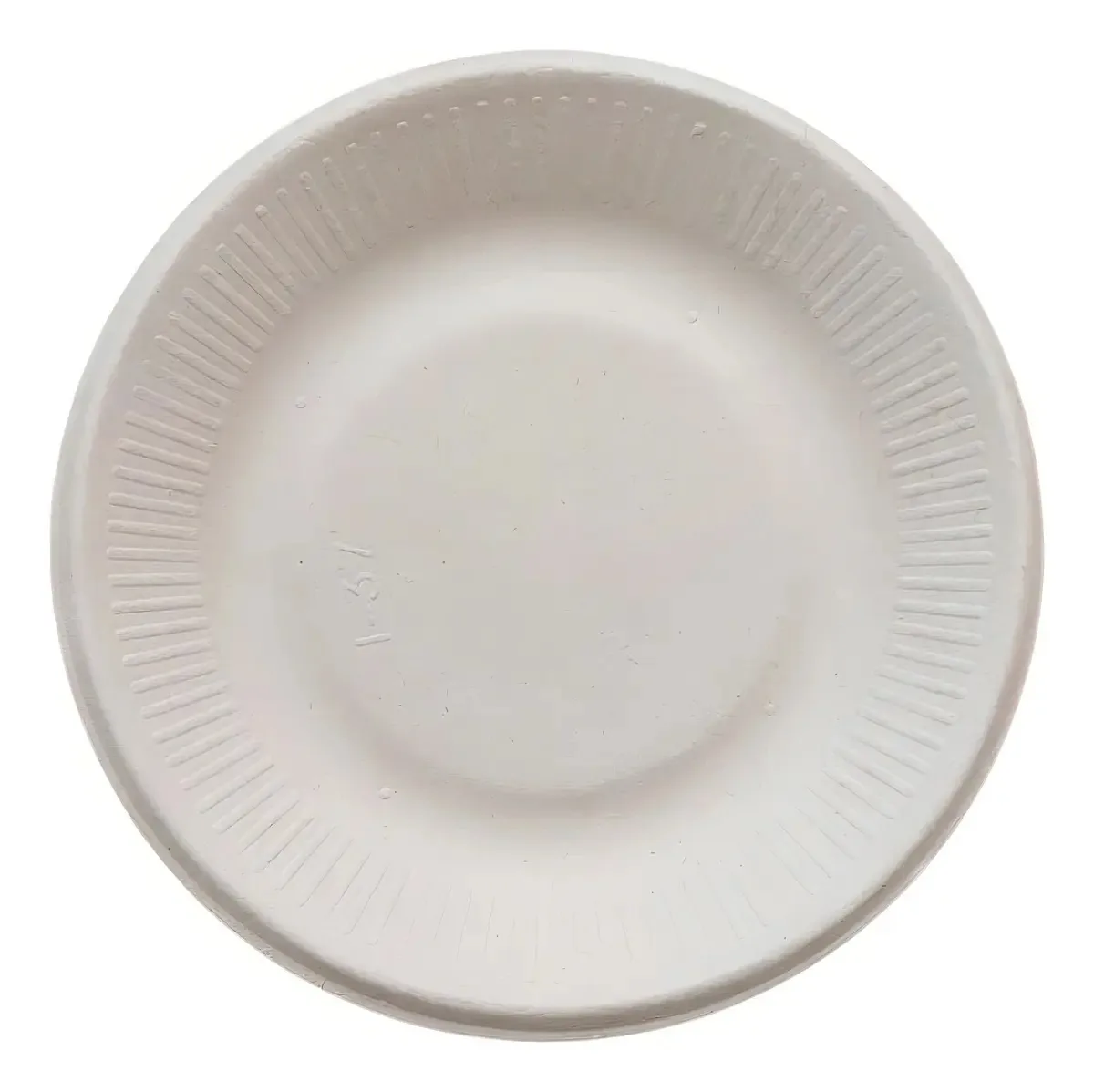 100 pratos compostáveis biodegradáveis, 6 pastéis ecológicos