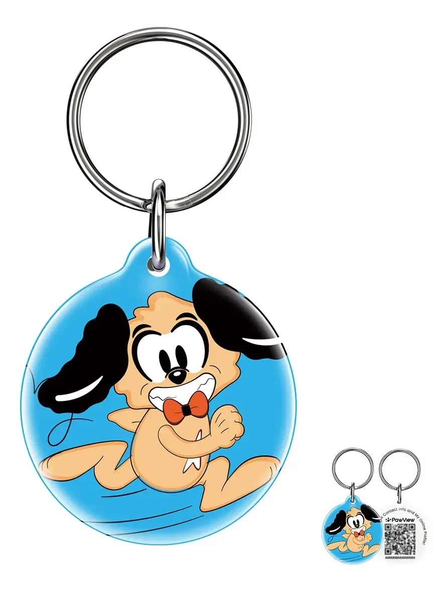 Placa de Identificação PawView Com Código QR para Cão e Gato