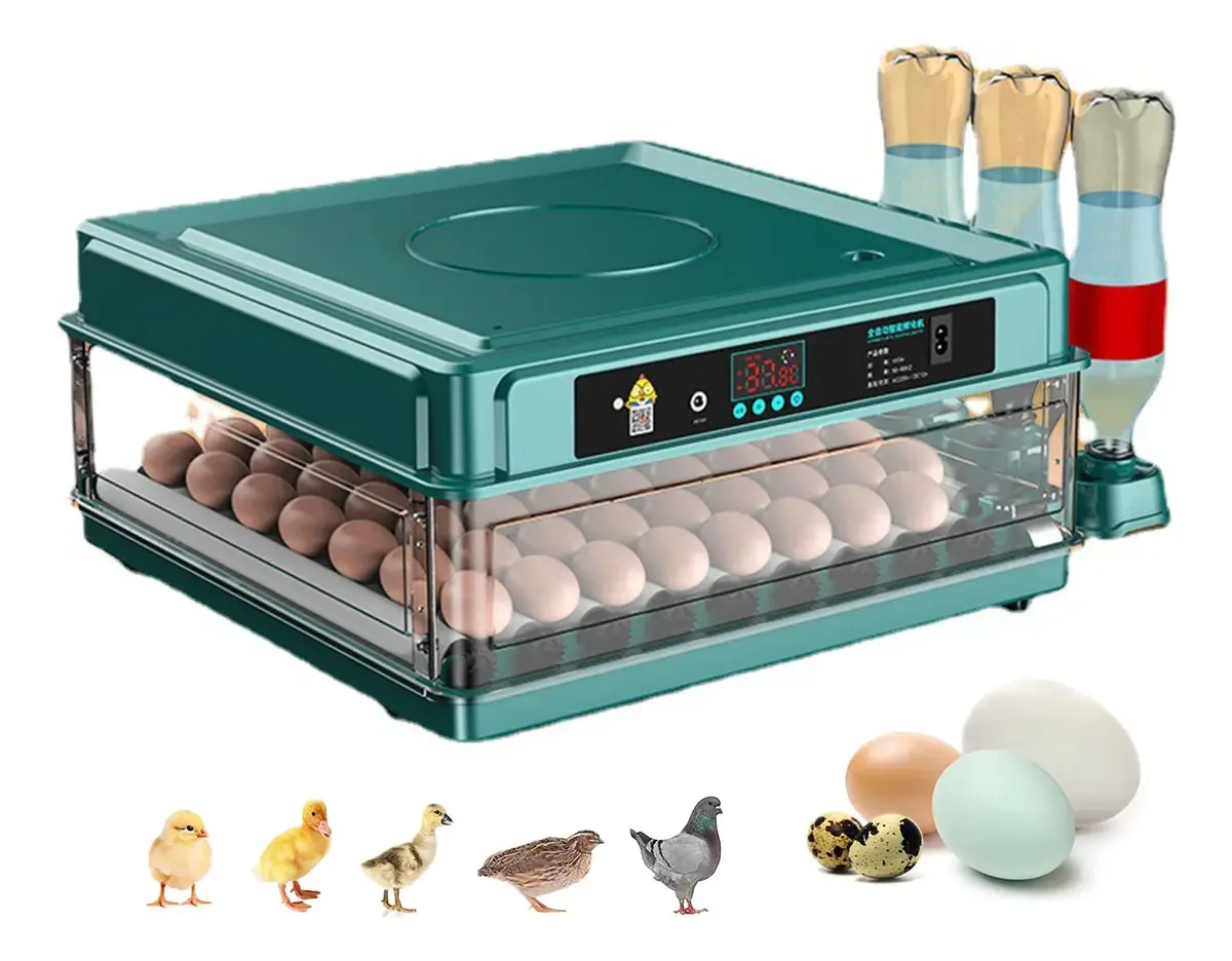 Incubadora de aves de grande capacidade com 64 ovos