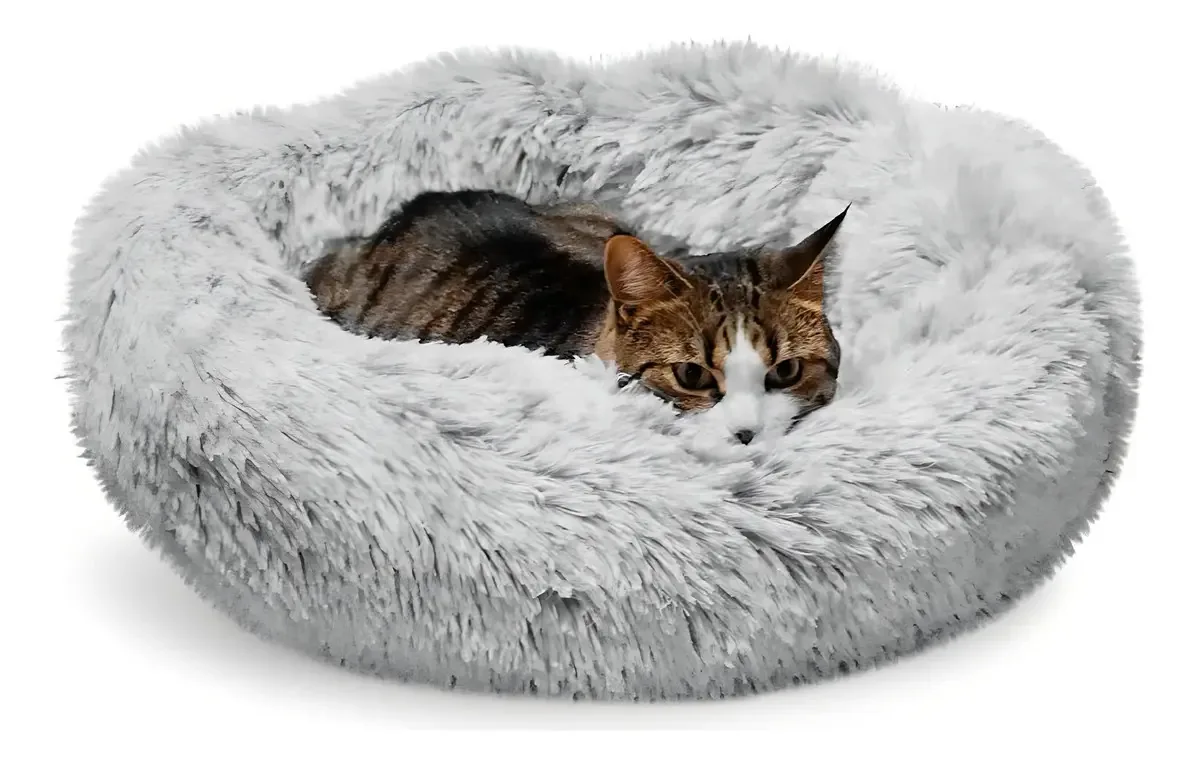 Cama para gatos Whiskers & Friends, camas para gatos Inte