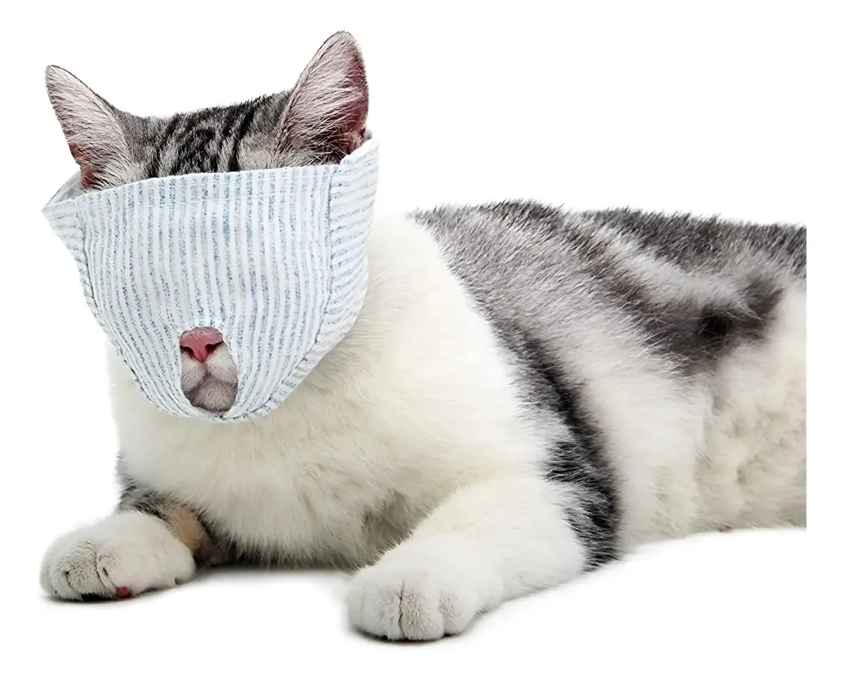 Focinho respirável e seguro para gatos