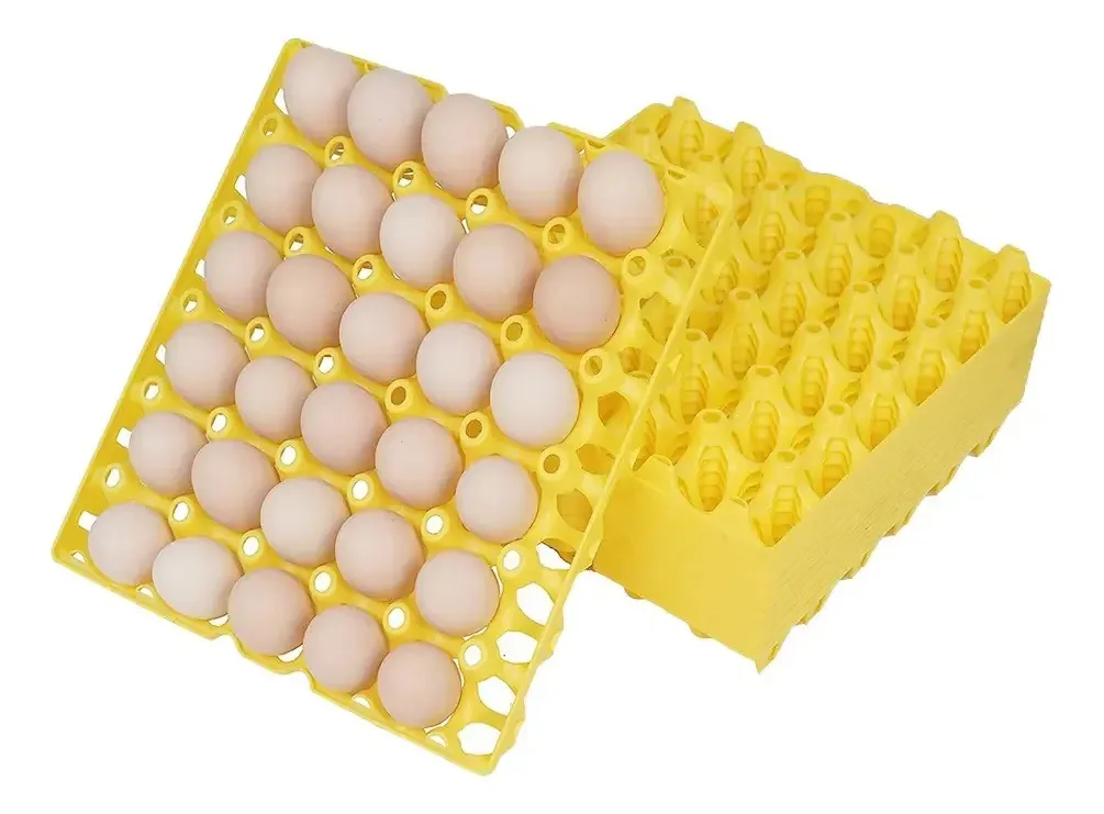 Conjunto de bandejas de ovos para 30 ovos, 20 peças