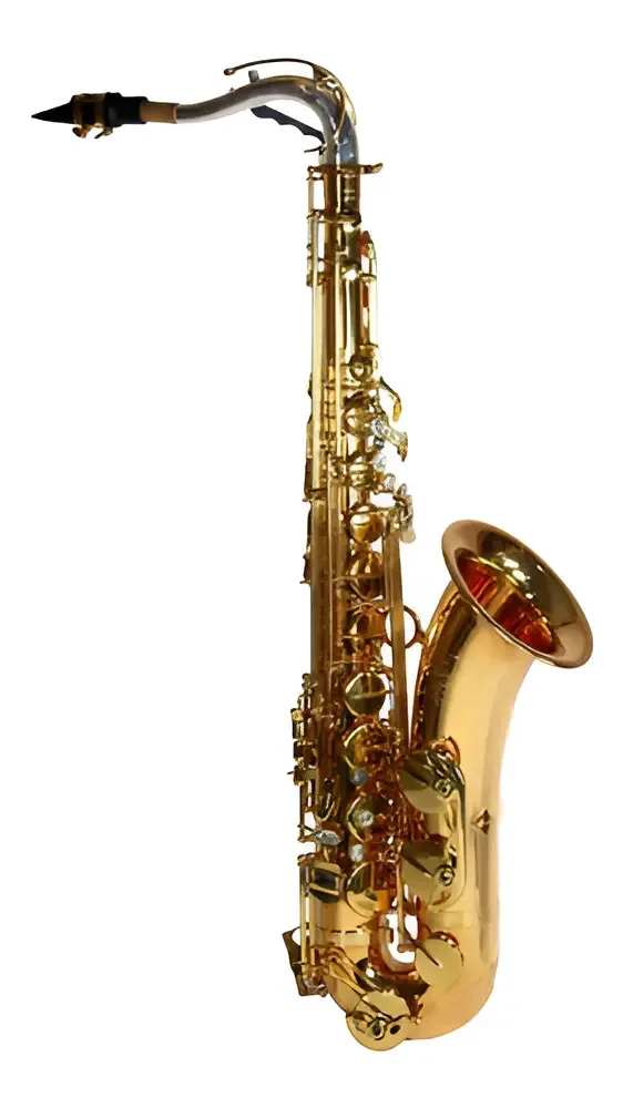 Saxofone Tenor Jahnke Custon Limited Edition Cor Preto