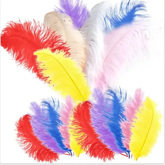 Penas Artificiais De Avestruz 100 (5 Cores: 20 Unidades/cor Rosa, Azul, Vermelho, Amarelo, Roxo) 100% Sem Aditivos Naturais, Perfeitas Para Decorar Presentes.