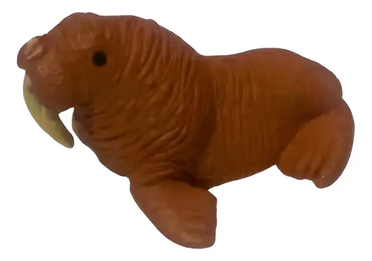 Morsa Do Ártico Da Safari Ltd