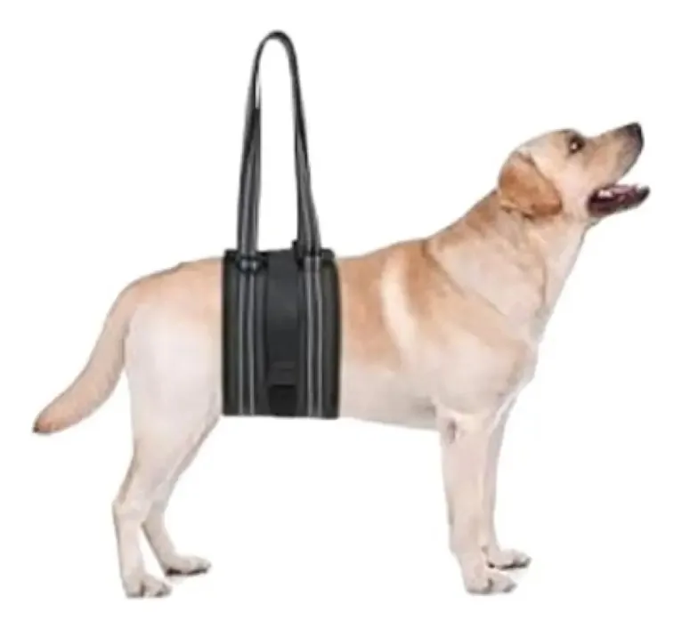 Arnês ortopédico para cães tamanho S Lorvet Neoprene, mobilidade reduzida, design confortável, fácil de colocar, usar e reabilitar diariamente