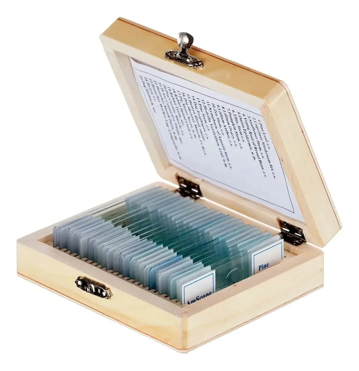 25 lâminas de microscópio para educação