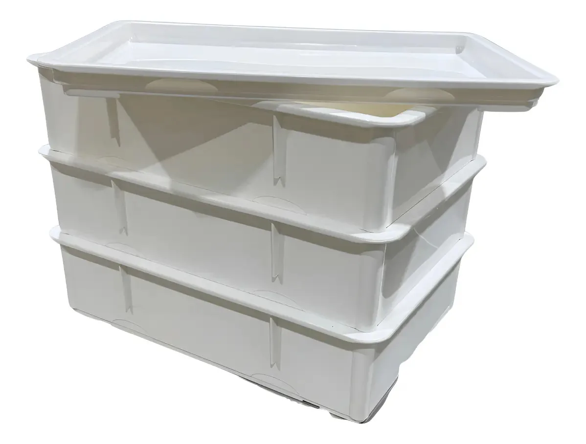 Kit de 3 caixas para fermentar massa com tampa branca