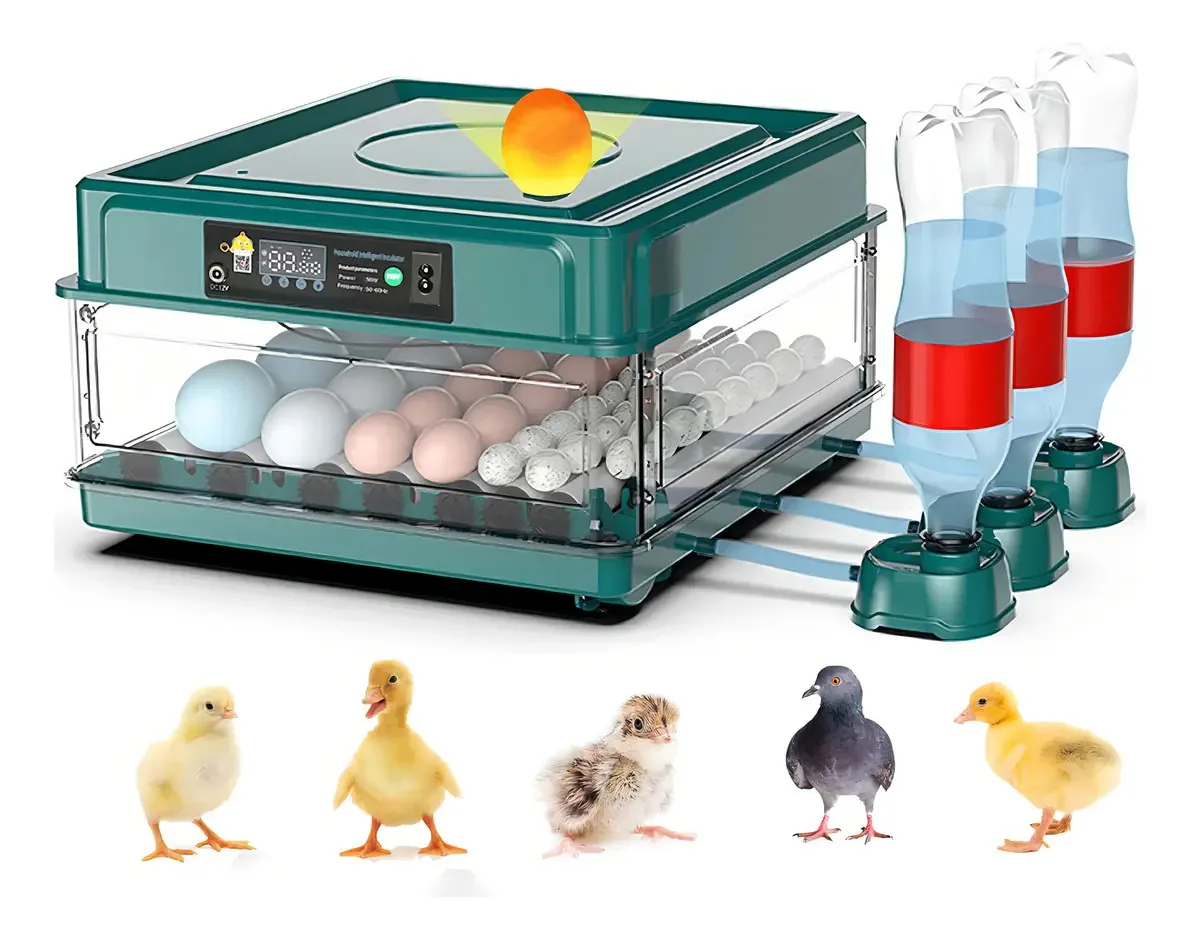 Incubadora automática de ovos para 12 a 38 ovos, incubadora