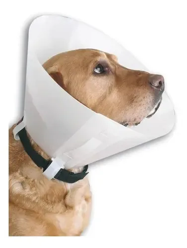 Coleiras elisabetanas para animais de estimação - Tamanho *m* Tamanho médio Tamanho #3 Nome do design elisabetano Cor translúcida