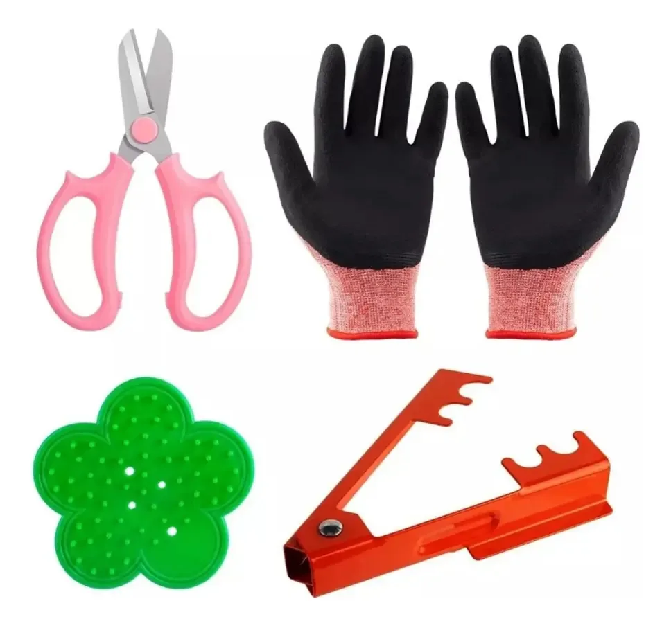 Ferramentas para remover espinhos de rosas, tesouras