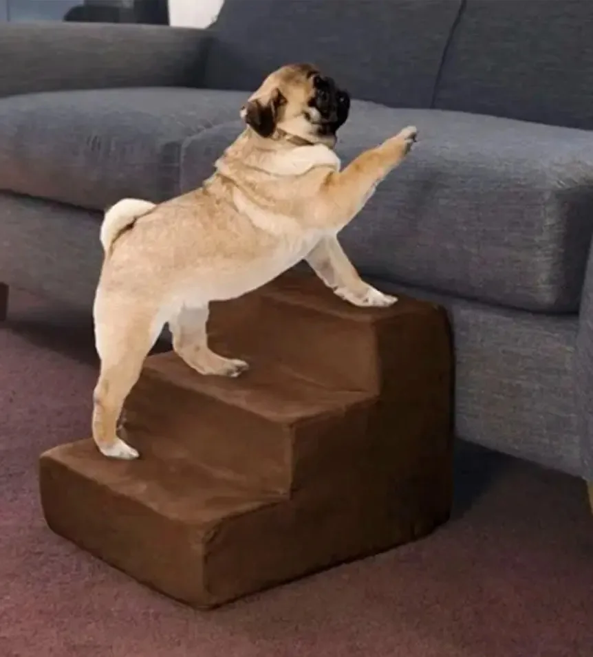 Escadas para animais de estimação Dark Coffee