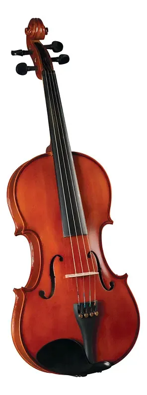 Viola Cervini Hva-150 14 em G - Estojo, laço e rosa