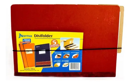 Pasta padrão Divifolder de 5 divisões