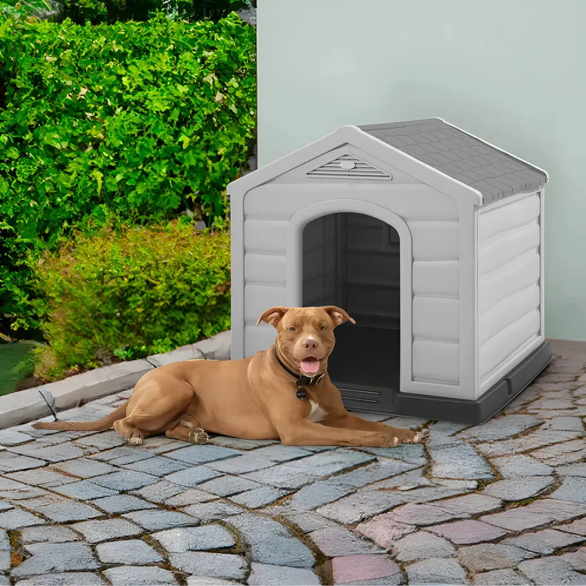 Home Ideal Home Dog, grande, raça média, confortável, cor Rimax, cinza escuro