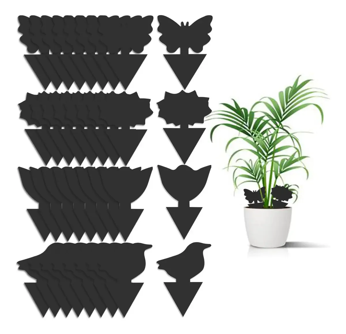 Pacote com 36 Armadilhas para Mosquitos de Fungos para Plantas