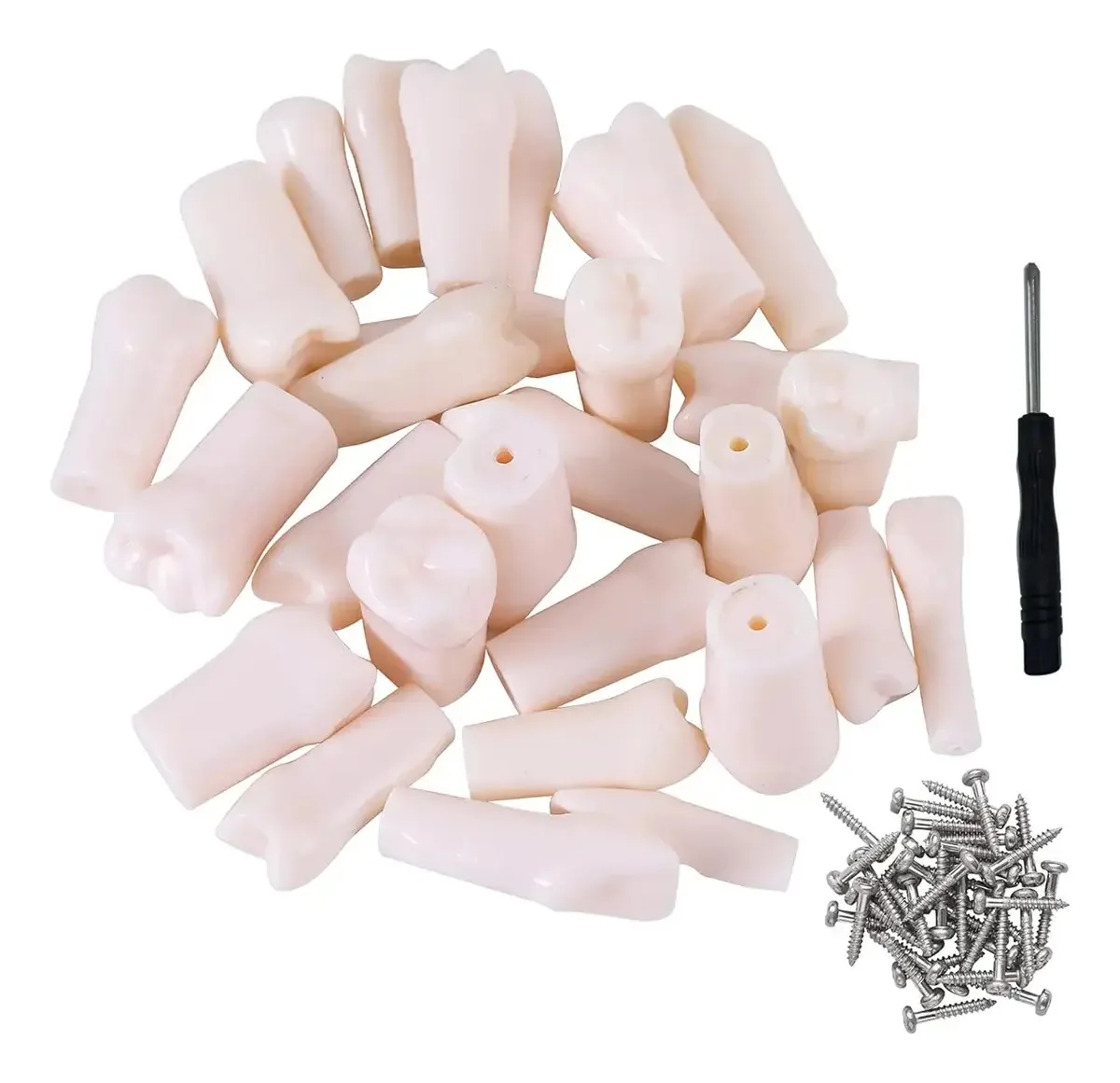 Pacote de dentes compatível para Nissin 32 Teeth Typodont