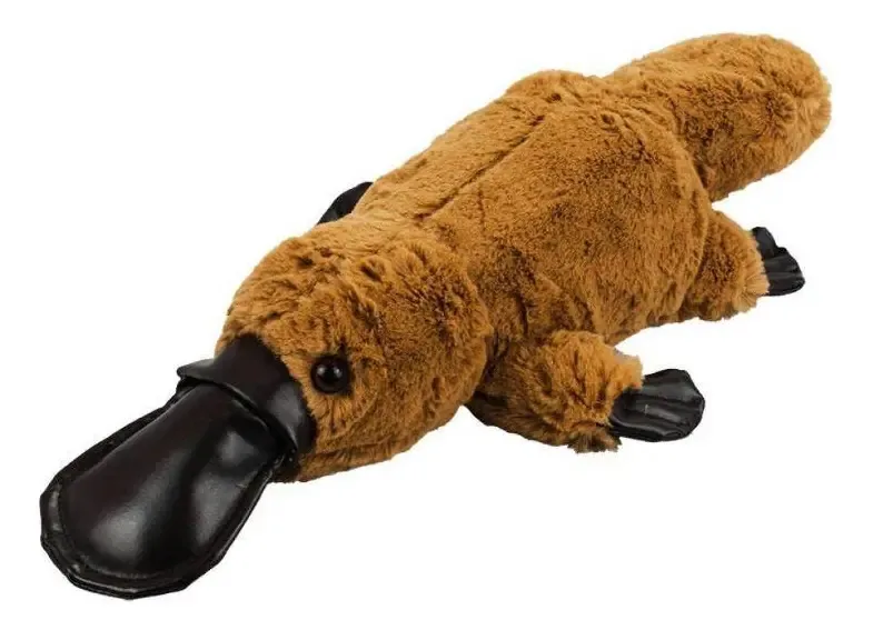 Ornitorrinco Pelúcia Marrom 40 Cm Comprimento Bico Sintético