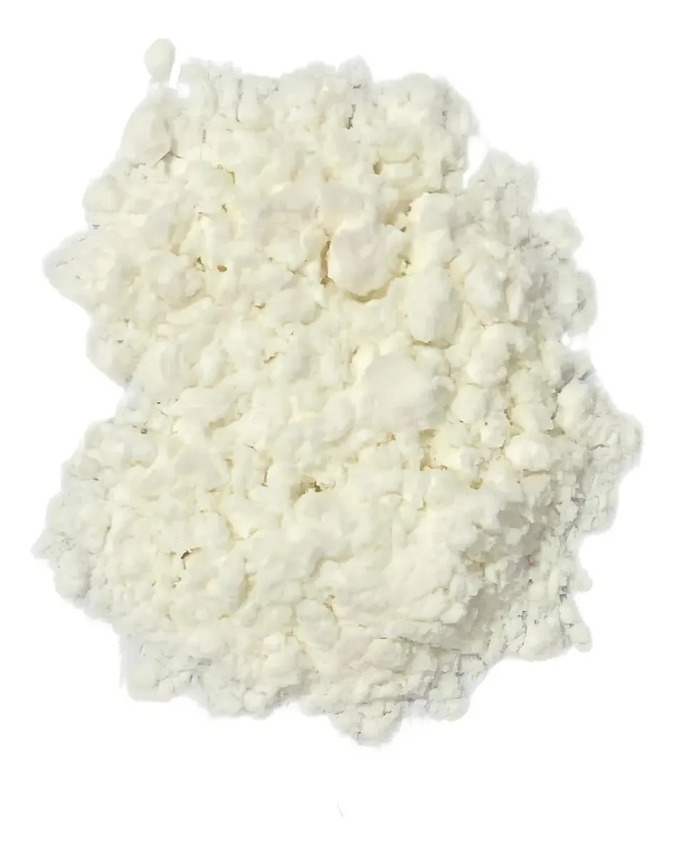 Leite De Coco Em Pó 1kg (Contém Lactose)