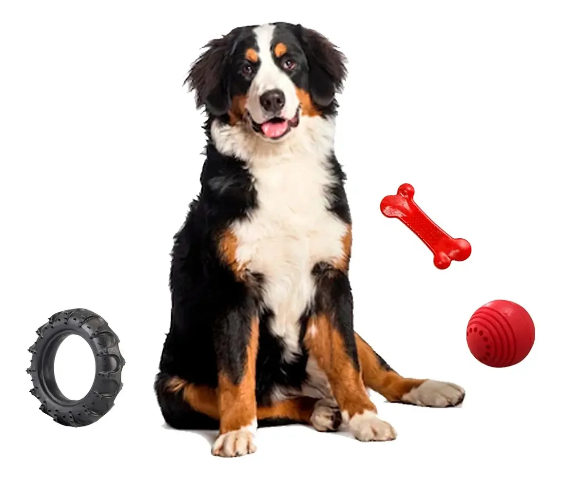 Casale Pet Kit 22