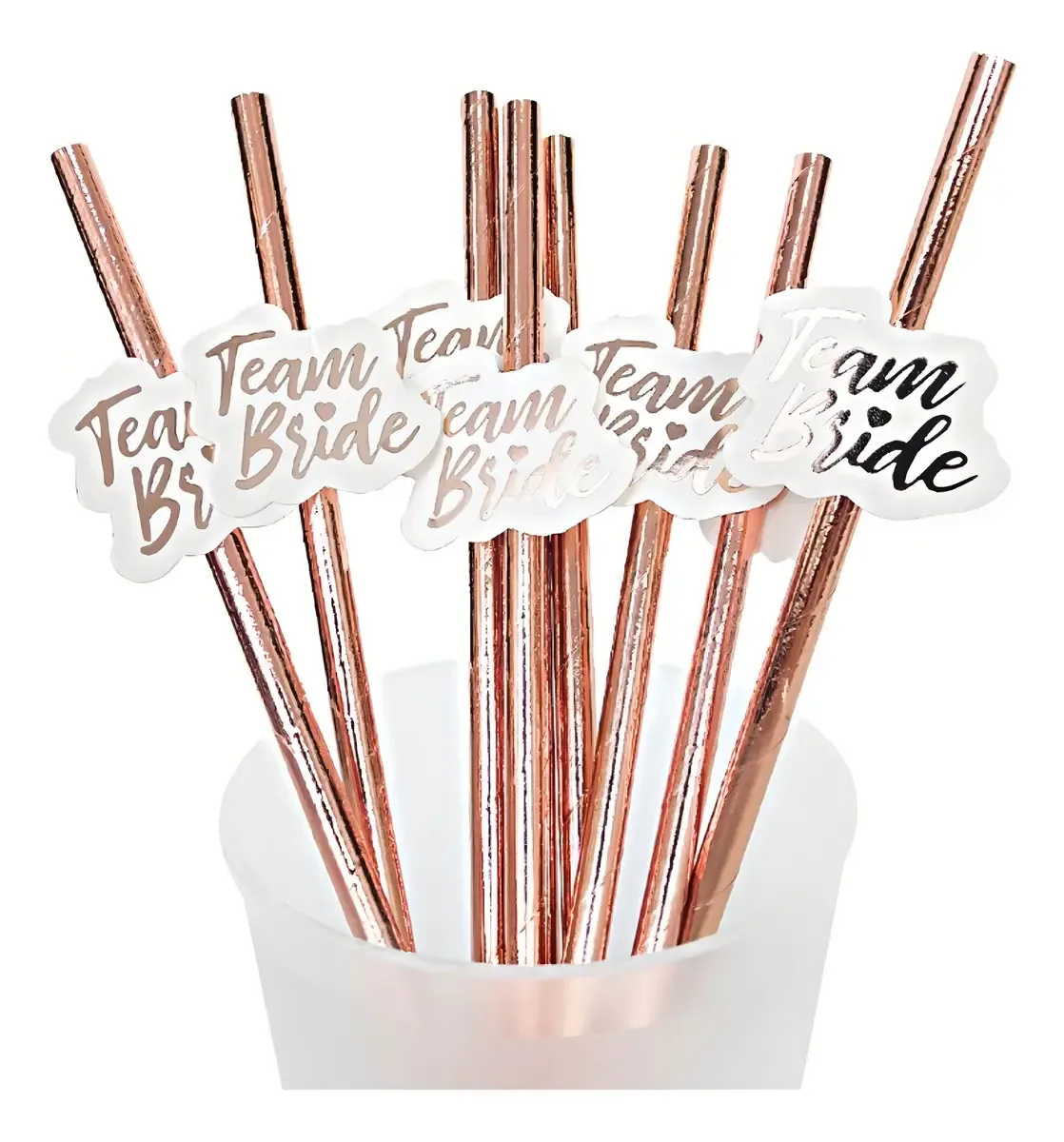 Kit 20 Canudos Papel Biodegradável Vitrine Team Bride Coral Claro