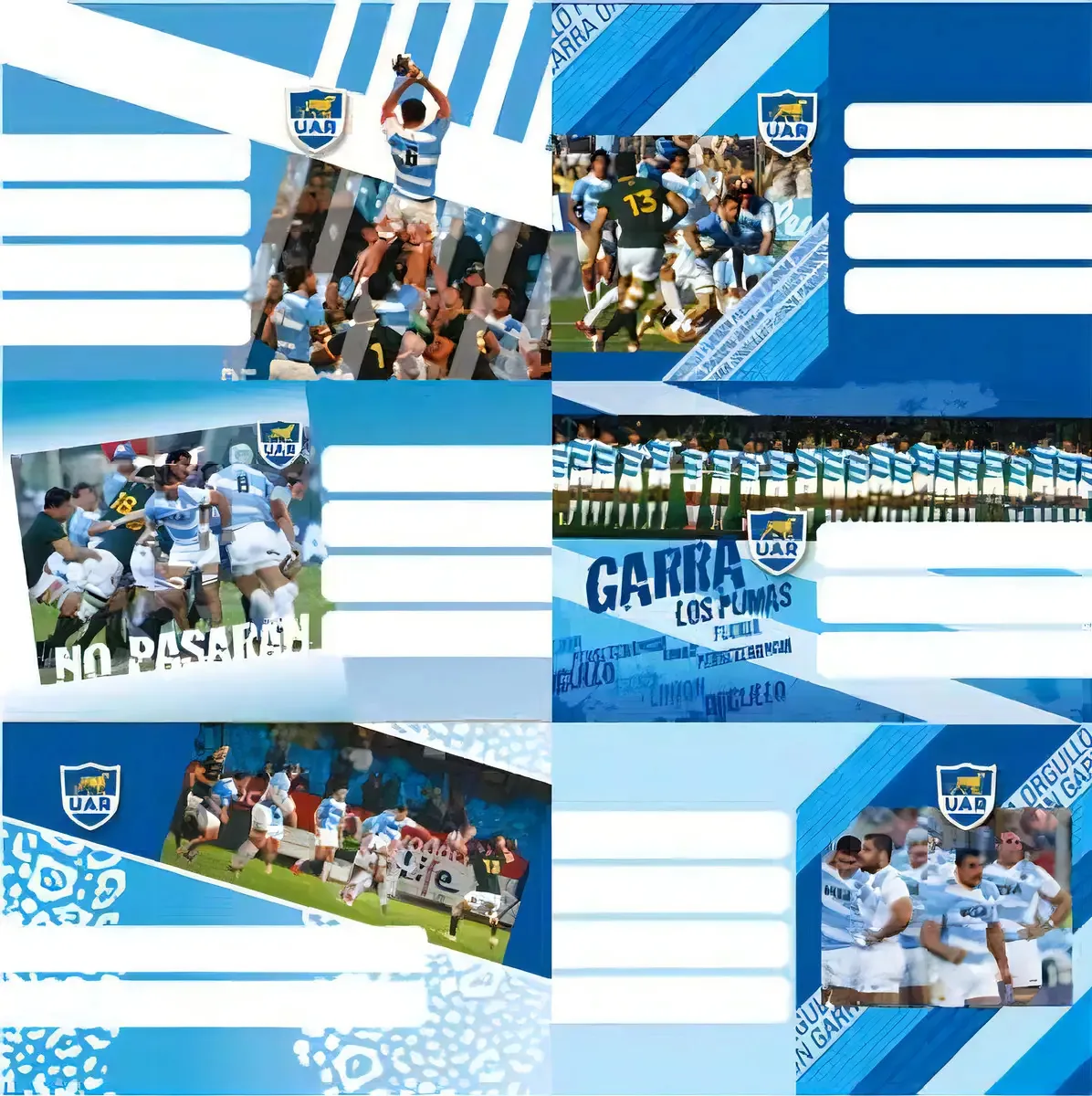 Etiquetas: Los Pumas Mooving 1144