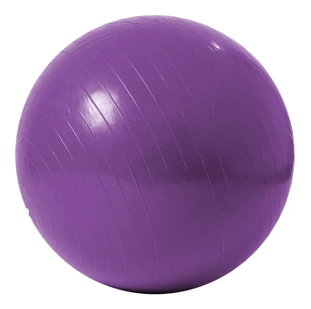 Bola de Pilates Balon Fisiologico 85 Cm Pelota Esferodinamia
