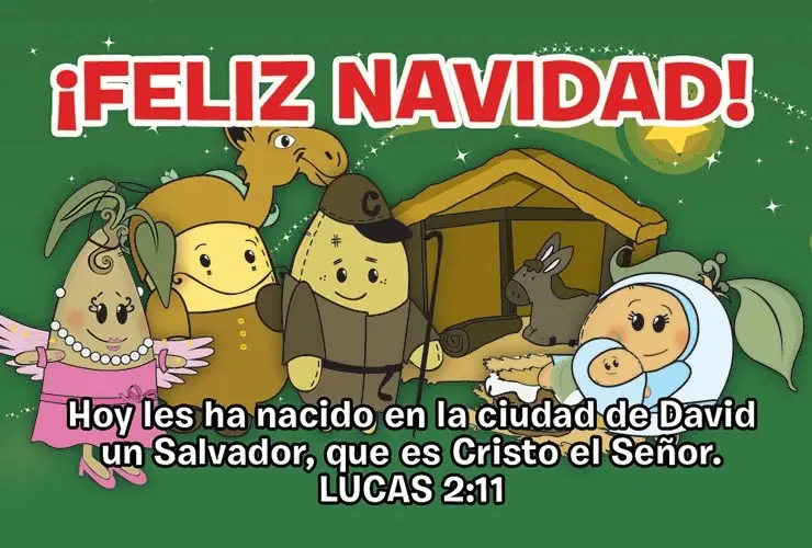 Cartões de mensagem cristãos · Packx100 Turquoise Christmas