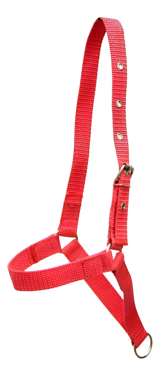 Cabresto De Fita Reforçada Para Bode Ovinos Caprinos Ovelha Cor Vermelho