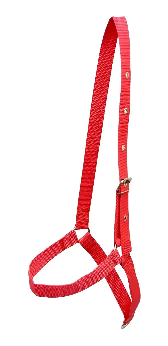 Kit com 3 Cabrestos de Fita para Ovinos e Cabritos - Selaria Cavalgada