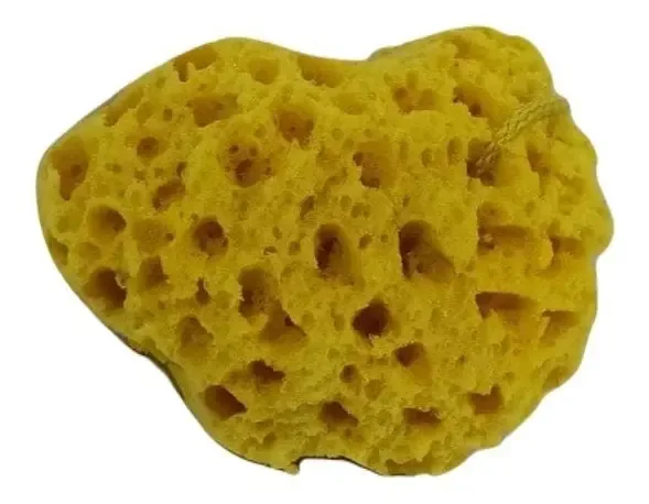 Esponja artística acrílica multiforme tipo marinho