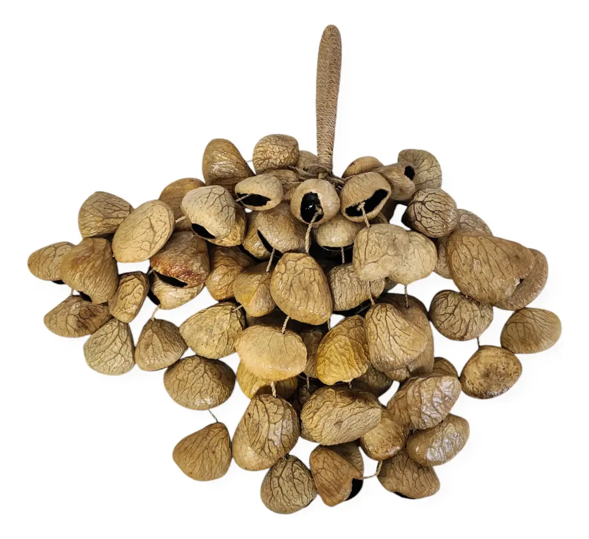 Pá de parquete Maraca Seeds Juju Chacha Pangi marrom claro