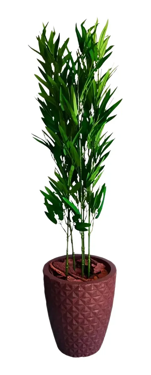 Bambu Mossô Artificial Permanente + Vaso Decorativo Sala