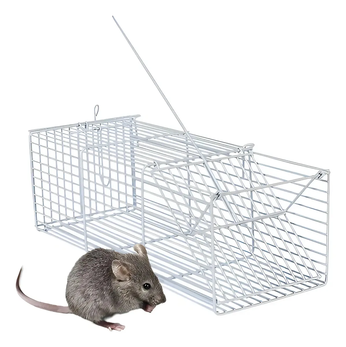 Ratoeira Gaiola Armadilha Para Ratos Ratazana Camundongo Roedores 30cm Grande
