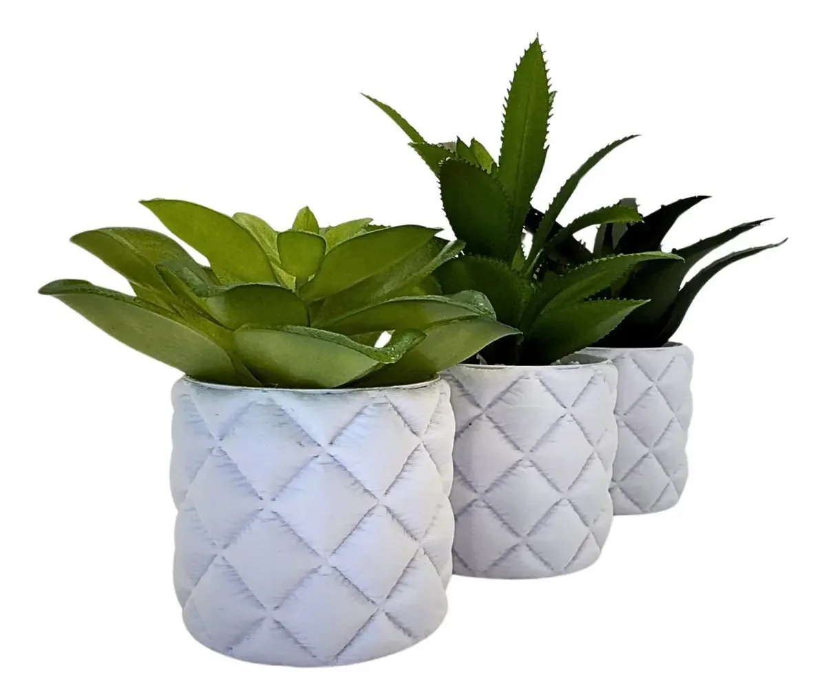 Mini Suculenta Em Vaso Decorativo Moderno - Kit 3 Unidades Cor Branco