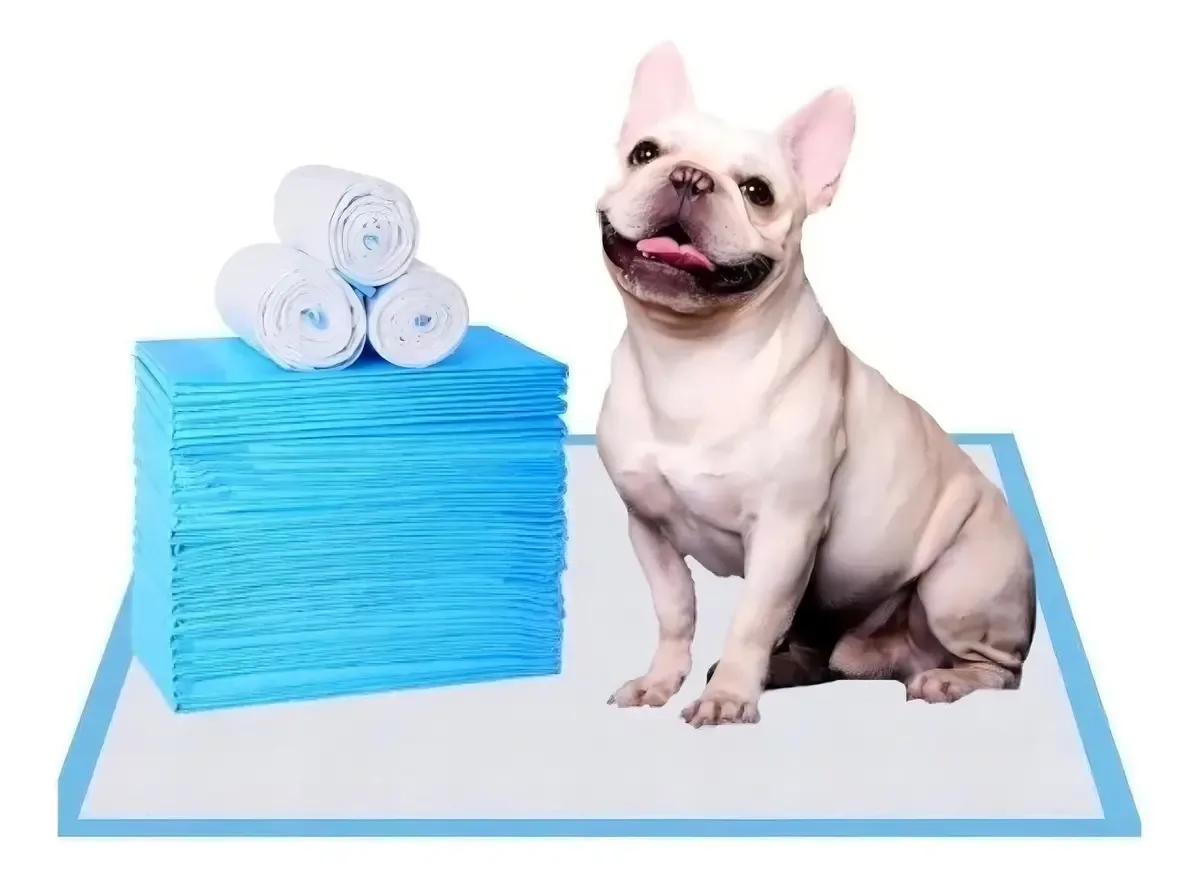 Fraldas absorventes para treinamento de cães - pacote com