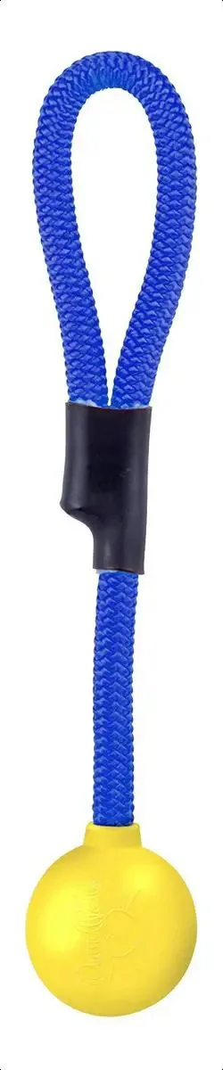 Brinquedos clássicos para cães