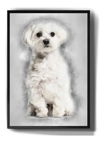 Quadro decorativo Tribos Quadro quadro decorativo maltês cachorro desenho raça arte de 41cm x 21cm - vibrante