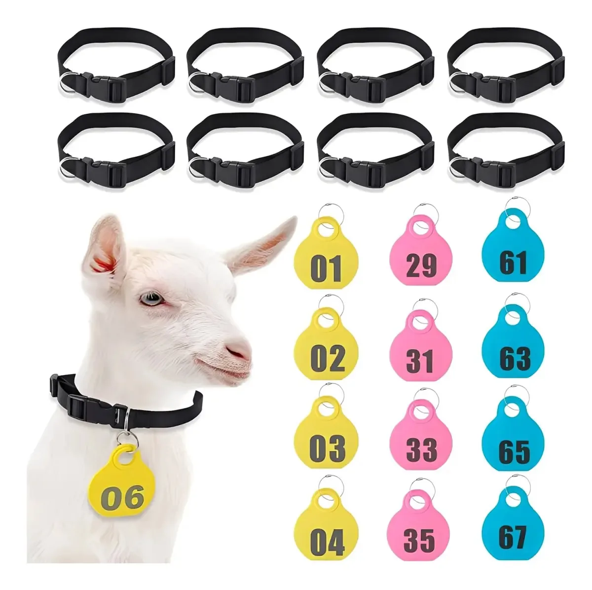 Brinco Ovinos Caprinos Identificação + Colar Kit 12 (01-12) Cor Amarelo