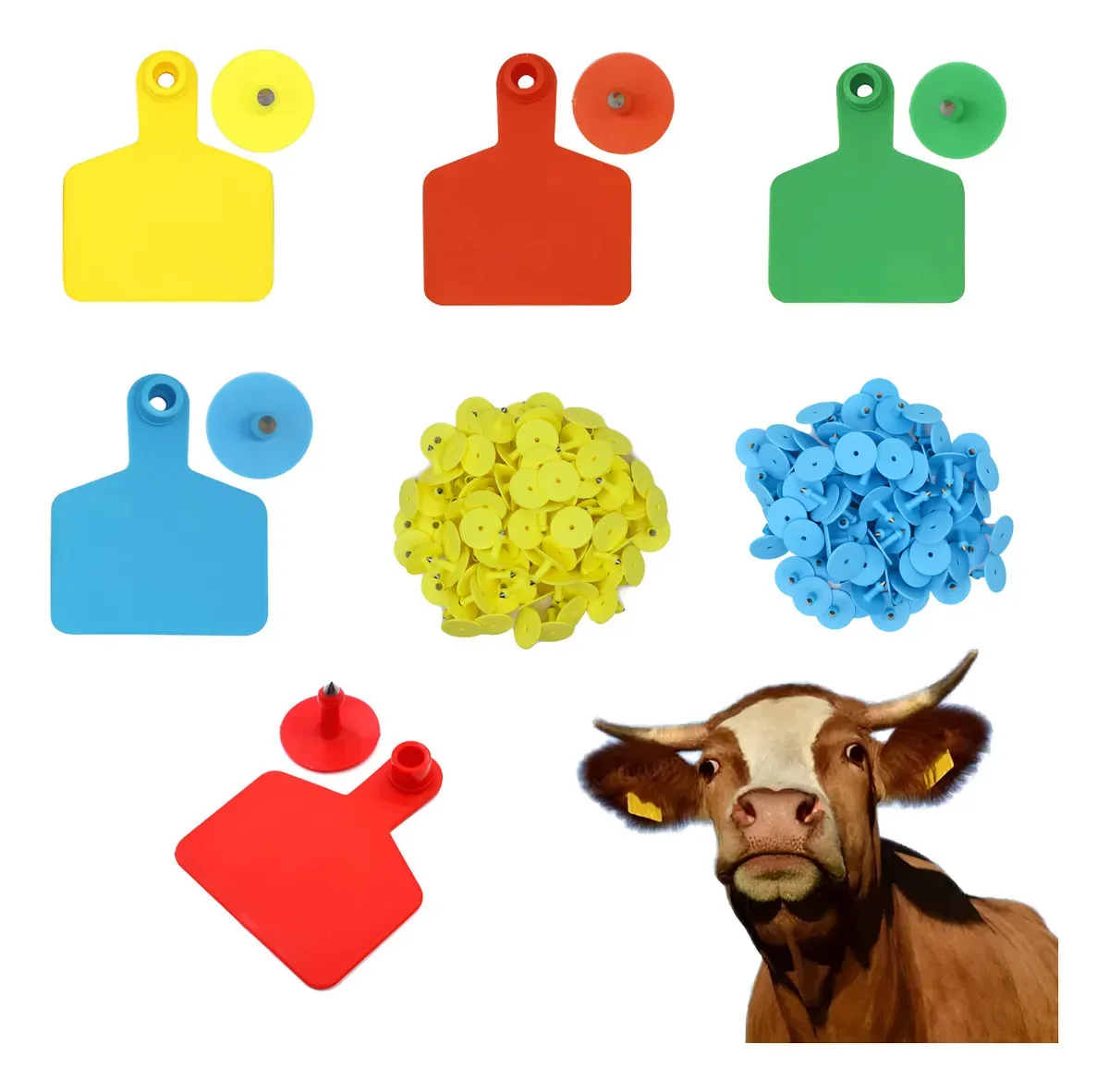 100 Brincos Grandes 7,5 X 6,0 Lisos P/ Bovinos, Ovinos Vacas Cor Amarelo