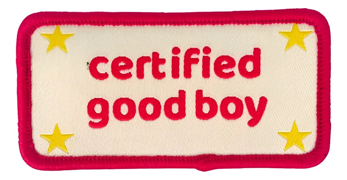 Patches de arnês certificados para cães para meninos e meninos