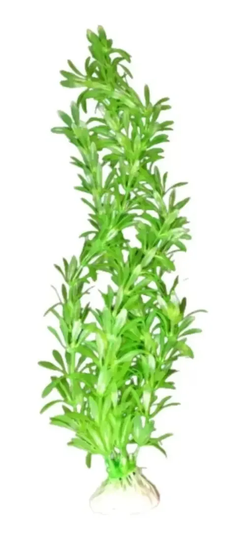 Decoração floral para aquários